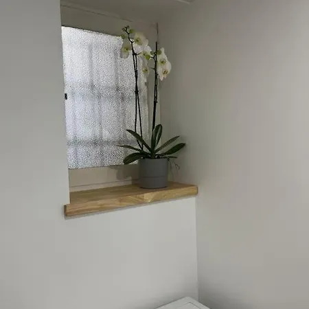 Apartment Vieille Nancy